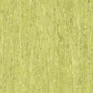 Линолеум TARKETT iQ Optima Yellow Green 0254  фото ##numphoto## | FLOORDEALER